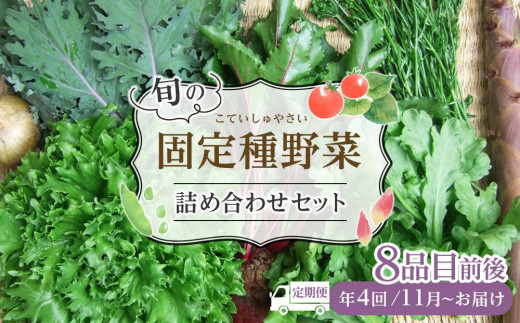 野菜［2024年先行予約 4回定期便］ 旬の固定種野菜 バイオダイナミック農業  8品目前後（11月～2月のお届け）常温配送 