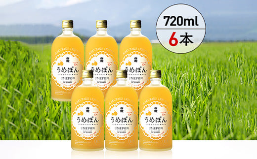 白岳 うめぽん 梅酒 10度 720ml ×6本セット 計4.32L