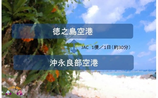 徳之島空港と沖永良部空港の飛行時間は約30分となります。