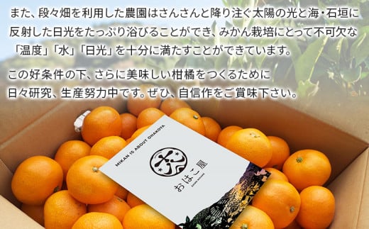 ＜おはこやがつくる おはこデコ（不知火）約3kg（L～3Lサイズ）＞ 果物 フルーツ 柑橘 しらぬい みかん 特産品 西宇和 愛媛県 西予市【常温】