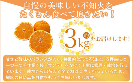 ＜おはこやがつくる おはこデコ（不知火）約3kg（L～3Lサイズ）＞ 果物 フルーツ 柑橘 しらぬい みかん 特産品 西宇和 愛媛県 西予市【常温】