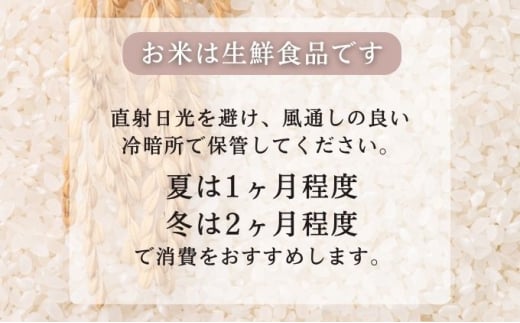 定期便7ヶ月 無洗米 秋田県産 あきたこまち 10kg (5kg×2袋)×7回 計70kg 令和6年産