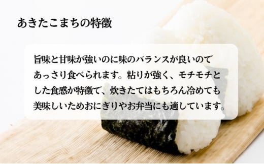 定期便7ヶ月 無洗米 秋田県産 あきたこまち 10kg (5kg×2袋)×7回 計70kg 令和6年産