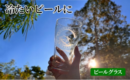 サザンＣグラスセット  タンブラー ビールグラス シャンパングラス 選べる2個セット　Bビールグラス【サーフィン×サーフィン】