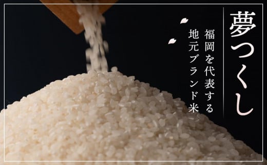 【令和6年産】福岡県産ブランド米「夢つくし」白米　5kg【米 ブランド米 ブランド 白米 夢つくし 令和6年産 家庭用 お取り寄せ お土産 福岡県産 取り寄せ グルメ 福岡県 大任町 AS011】