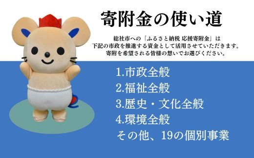 【返礼品なし応援寄附】岡山県総社市（5000円） 22-005-003