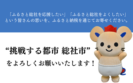 【返礼品なし応援寄附】岡山県総社市（5000円） 22-005-003