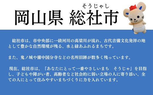 【返礼品なし応援寄附】岡山県総社市（5000円） 22-005-003