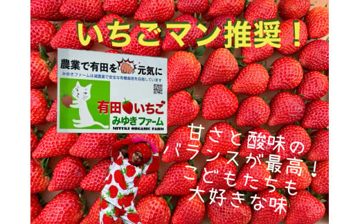 【2025年2月～順次発送】有田いちご 1kg お徳用いちご ちょっと小粒（2L～Mサイズ）250g×4パック 朝摘み完熟いちごを即日発送！【みゆきファーム】いちごさん F10-44