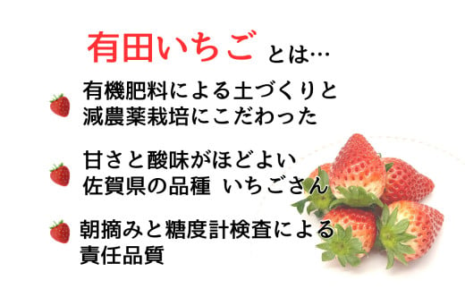 【2025年2月～順次発送】有田いちご 1kg お徳用いちご ちょっと小粒（2L～Mサイズ）250g×4パック 朝摘み完熟いちごを即日発送！【みゆきファーム】いちごさん F10-44