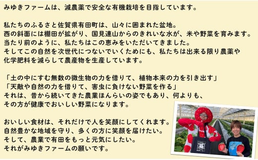 【2025年2月～順次発送】有田いちご 1kg お徳用いちご ちょっと小粒（2L～Mサイズ）250g×4パック 朝摘み完熟いちごを即日発送！【みゆきファーム】いちごさん F10-44