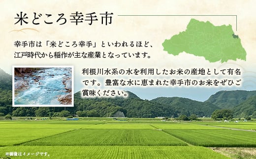 【新米発送】令和6年産 幸手市産 コシヒカリ 白米27kg 色彩選別済 White Rice - お米 米 こしひかり 精米 27kg 埼玉県 幸手市