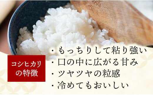 【新米発送】令和6年産 幸手市産 コシヒカリ 白米27kg 色彩選別済 White Rice - お米 米 こしひかり 精米 27kg 埼玉県 幸手市