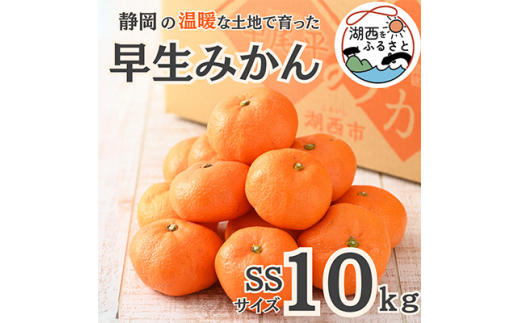 ＜先行受付＞＜11月より順次出荷予定＞早生みかん約10kg SSサイズ〔鈴木農園〕【1510124】