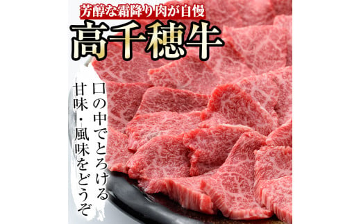 高千穂牛 ウデ焼き肉(500g)国産 宮崎県産 宮崎牛 牛肉 焼肉 ウデ肉 霜降り A4 和牛 ブランド牛  【MT001】【JAみやざき 高千穂牛ミートセンター】