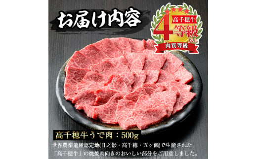 高千穂牛 ウデ焼き肉(500g)国産 宮崎県産 宮崎牛 牛肉 焼肉 ウデ肉 霜降り A4 和牛 ブランド牛  【MT001】【JAみやざき 高千穂牛ミートセンター】