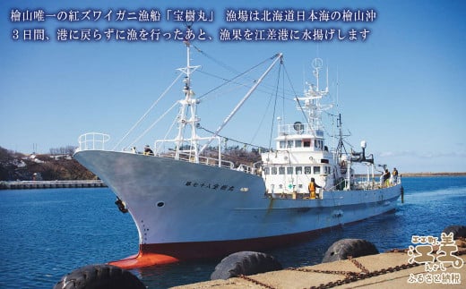 ＼12月15日決済分まで年内配送可／『北海道北前蟹』かに爪 500g　北海道日本海産紅ずわいがに　カニかご漁師直販！厳格な鮮度管理で甘くてジューシーな本場の味をお届け　むき身なのではずれなし！　新鮮ボイルかに爪　かにしゃぶ　しゃぶしゃぶ　かに鍋　国産　北海道産べにずわいがに　ギフト　贈答用