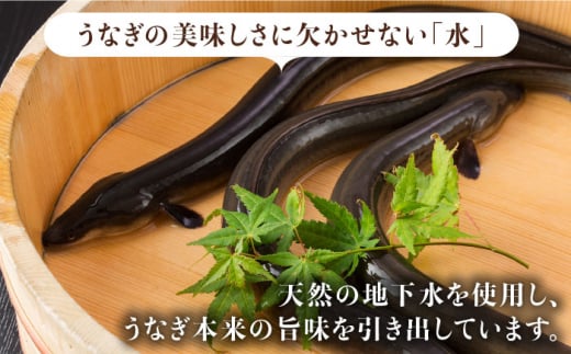 ふっくらジューシーのこだわりうなぎ【12回定期便】国産うなぎ蒲焼 6枚セット×12回【丸安】 [FAD016]