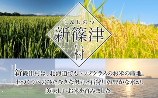 北海道 特別栽培 令和6年産 ななつぼし 15kg 無洗米 精米 米 白米 お米 新米 ごはん ご飯 ライス 道産米 ブランド米 新しのつ米 ふっくら 食味ランキング  産地直送 カワサキ森田屋 送料無料