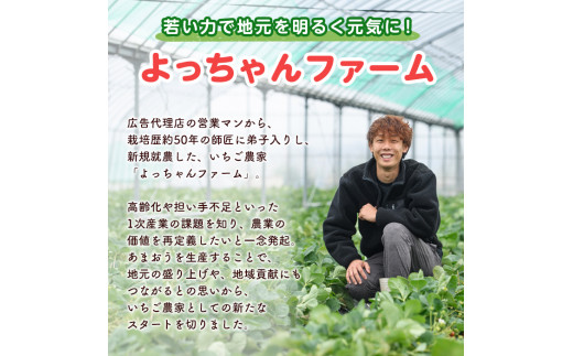 ＜先行予約受付中・2025年1月より順次発送＞いちごの王様 あまおう グランデサイズ(6パック・1パック：3玉～15玉入り) 苺 フルーツ 果物 数量限定 冷蔵 ＜離島配送不可＞【ksg1514】【よっちゃんファーム】