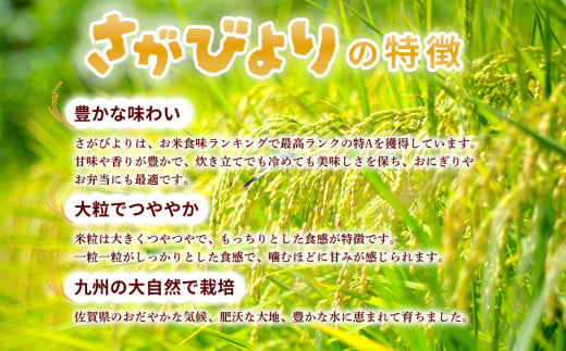 【連続特A受賞米】佐賀県基山町の米・令和6年産 新米 さがびより(精米)5kg〈生産者直送〉【米 ブランド米 特A 冷めても美味い 5kg ふるさと納税】A3-C094001