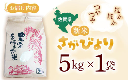 【連続特A受賞米】佐賀県基山町の米・令和6年産 新米 さがびより(精米)5kg〈生産者直送〉【米 ブランド米 特A 冷めても美味い 5kg ふるさと納税】A3-C094001