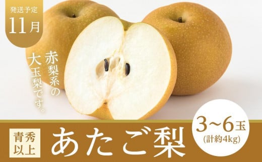 フルーツ 定期便 2025年 先行予約 晴れの国 岡山県産 旬のフルーツ定期便 7回コース 桃 もも 葡萄 ぶどう 梨 なし 苺 いちご 岡山県産 国産 セット ギフト