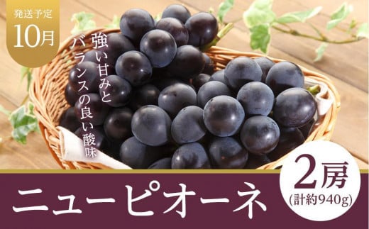 フルーツ 定期便 2025年 先行予約 晴れの国 岡山県産 旬のフルーツ定期便 7回コース 桃 もも 葡萄 ぶどう 梨 なし 苺 いちご 岡山県産 国産 セット ギフト