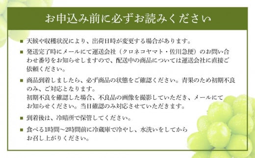 CN76【定期便 全2回／2025年9・10月発送】 岡山県産シャインマスカット 晴王 1房 約750g ｜2回定期便 ９月・１０月に１回づつお届け 種無し 皮ごと食べる 旬の美味しさ フレッシュ 先行予約 ハレノフルーツ