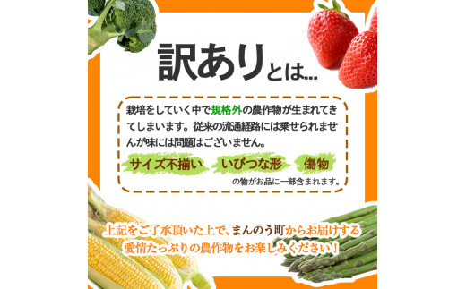 ＜期間限定！2025年2月中旬以降順次発送予定＞＜訳あり＞初物！アスパラガス さぬきのめざめ (約1kg) 【man090】【Aglio nero】