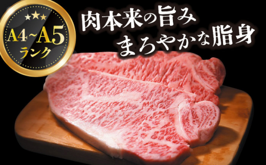 【全6回定期便】【A4～A5】長崎和牛サーロインステーキセット　500g（250g×2枚）【株式会社 MEAT PLUS】 [DBS087]