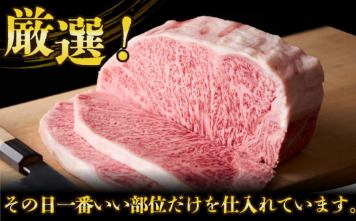 【全6回定期便】【A4～A5】長崎和牛サーロインステーキセット　500g（250g×2枚）【株式会社 MEAT PLUS】 [DBS087]