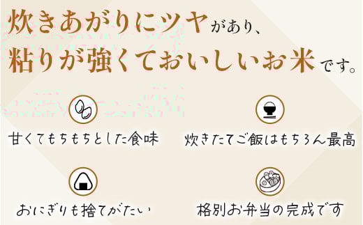 【R7年産 新米 】先行予約 多良木町 産『くまさんの輝き』 精米 計 10kg (5kg×2袋) 10月中旬～順次発送 熊本県 精米 たらぎ お米 米 艶 粘り 甘み うま味 熊本の 米 10キロ 044-0586