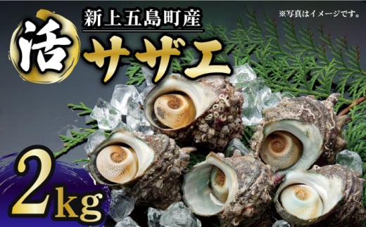 きれいな上五島の海で育った新鮮なサザエです。お刺身・つぼ焼きなど、様々なお料理で美味しくお召し上がりいただけます。