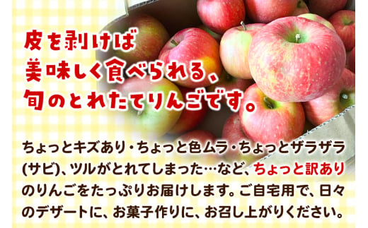 【訳あり】サンふじ 10kg りんご リンゴ 林檎【天抜き箱で発送】