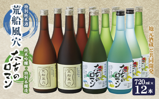 荒船風穴 太古のロマン 720ml×12本入セット 特別純米酒 純米吟醸 特別本醸造 日本酒 お酒 酒 さけ 冷酒 淡麗 辛口 地酒 世界遺産 群馬県 下仁田 F21K-030