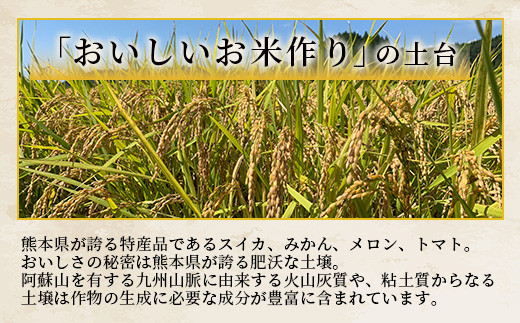 人吉球磨のお米「ひのひかり」無洗米5kg