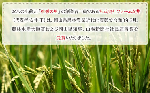 お米 【2024年11月～発送予定】 特別栽培米 きぬむすめ 5kg×1袋 米 白米 岡山県産 ファーム安井