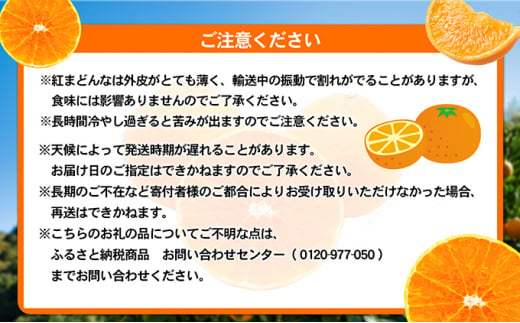 愛媛県産 紅まどんな 「青秀」JA正規品 約3kg10玉～15玉入り 数量限定400箱  12月～順次発送【柑橘 甘い 高級 極上 JA直送 正規みかん 愛果28号】 [№5310-0022]