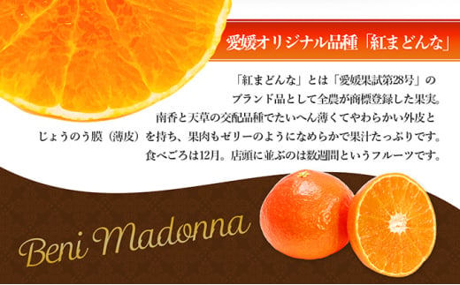 愛媛県産 紅まどんな 「青秀」JA正規品 約3kg10玉～15玉入り 数量限定400箱  12月～順次発送【柑橘 甘い 高級 極上 JA直送 正規みかん 愛果28号】 [№5310-0022]