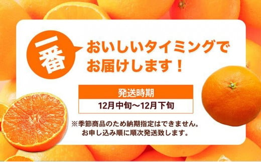 愛媛県産 紅まどんな 「青秀」JA正規品 約3kg10玉～15玉入り 数量限定400箱  12月～順次発送【柑橘 甘い 高級 極上 JA直送 正規みかん 愛果28号】 [№5310-0022]