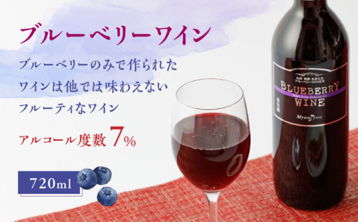 【化粧箱入】ブルーベリーワイン 720ml & ジャム 3個 セット ブルーベリー 熊本 ワイン 山都【社会福祉法人 御陽会 サポートハウス 明星学園】[YBM005] 