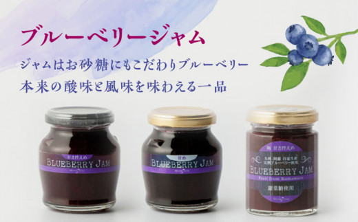 【化粧箱入】ブルーベリーワイン 720ml & ジャム 3個 セット ブルーベリー 熊本 ワイン 山都【社会福祉法人 御陽会 サポートハウス 明星学園】[YBM005] 