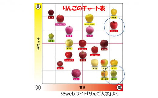 【3月発送】家庭用 サンふじ・王林詰め合わせ 約5kg【青森りんご】