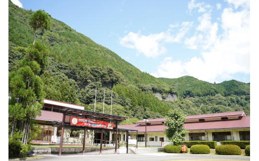 宿舎やすらぎ うめの間 和室8畳 奈良 下北山村 ペア宿泊券 1泊2食付き きなりの湯入浴券付 旅行 温泉 