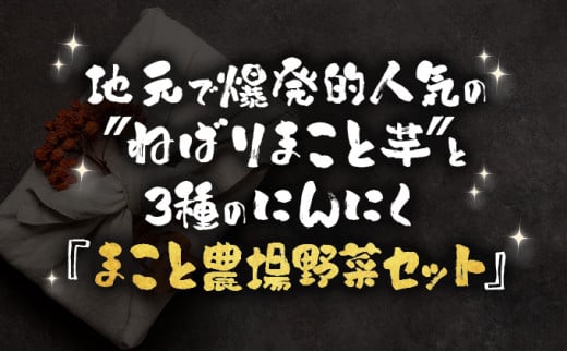 ねばりまこと芋とにんにく加工品 竹【国産 長芋 黒にんにく にんにく 粉末 詰め合わせ セット 贈り物 ギフト プレゼント 東北 青森県 七戸町 送料無料】【02402-0294】