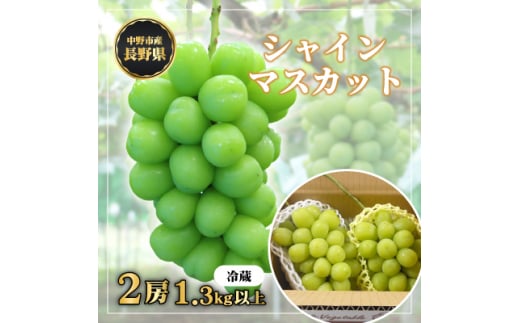 長野県中野市産　冬でも食べれる　シャインマスカット2房(1.3kg以上)_ ぶどう 葡萄 ブドウ シャインマスカット フルーツ 果物 ふるーつ くだもの 国産 旬 産直 長野 人気 品種 送料無料 産地直送 甘い 贈答 ギフト 冷蔵 【1331174】