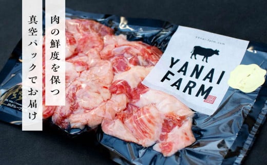 《佐賀牛》梁井 コラーゲンたっぷり スジ肉盛り合わせ 1kg【佐賀牛 スジ肉 コラーゲン ぷるぷる やわらか 煮込み料理 美味しい ブランド肉】 A5-C081004