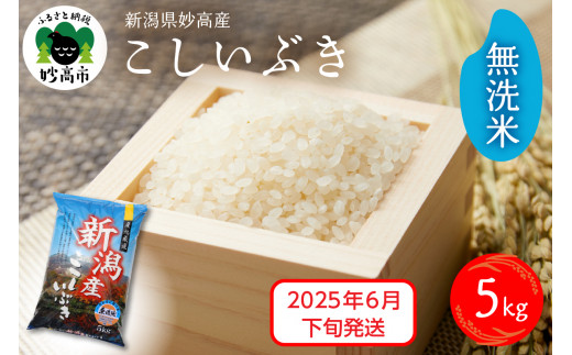 【2025年6月下旬発送】令和6年産 新潟県妙高産こしいぶき5kg 無洗米