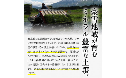 【2025年6月下旬発送】令和6年産 新潟県妙高産こしいぶき5kg 無洗米